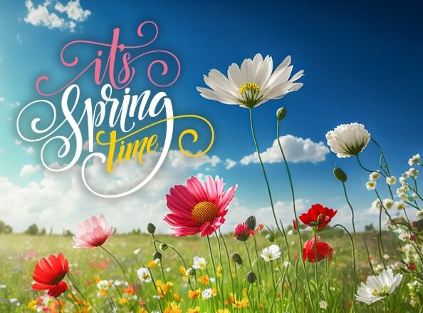 Spring Breaks in Cumbria Offer Image